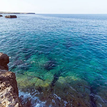 Cala Blanca Apartamentos Appartamento
